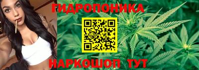 гашик Малоярославец
