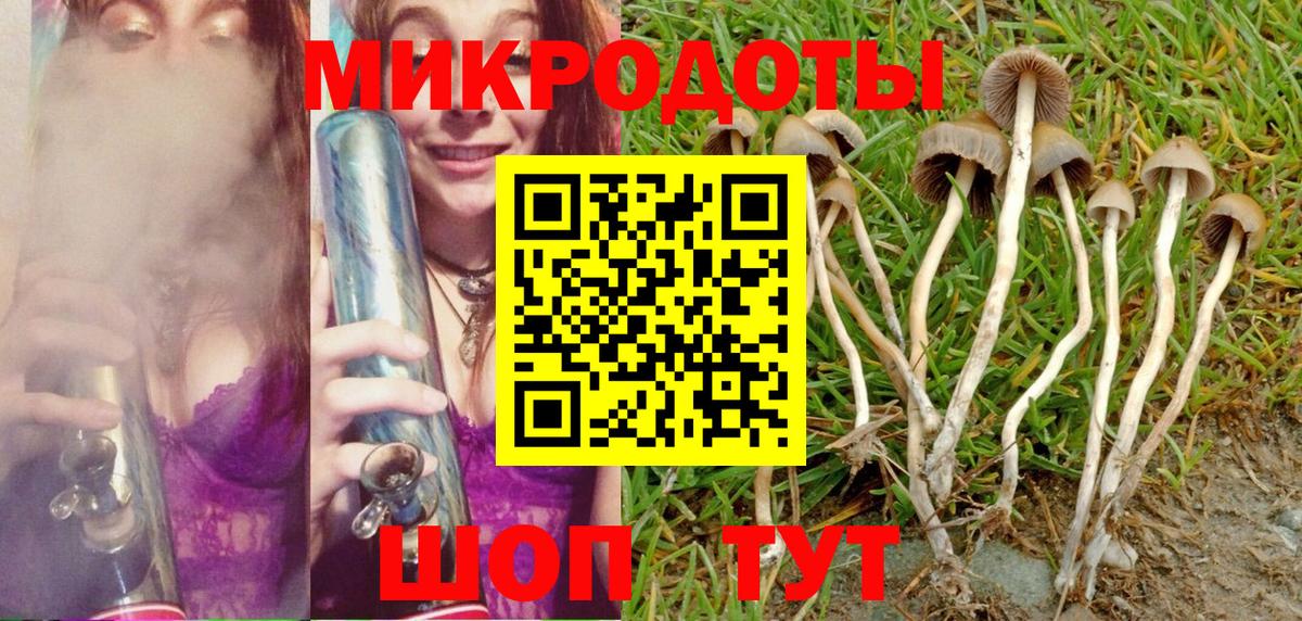 Будённовск  где найти   Вход с VPN  Псилоцибиновые грибы Psilocybine cubensis  Псилоцибиновые грибы мухоморы 