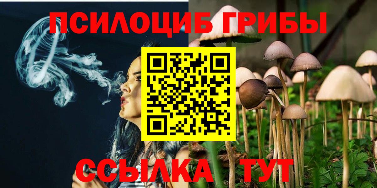 Галлюциногенные грибы Psilocybine cubensis Будённовск